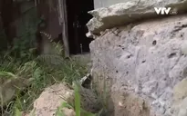 Nhiều hộ dân ven sông Bù Lu (Thừa Thiên Huế) lo lắng vì sạt lở