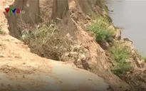 Sông Ba bị sạt lở nghiêm trọng