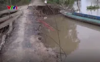 Sạt lở đe dọa đường giao thông nông thôn ở Tiền Giang