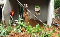 Cảnh báo lũ quét và sạt lở đất