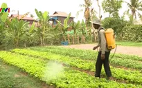 Xu hướng sử dụng thuốc trừ sâu sinh học