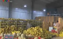 Phát hiện hàng chục tấn sầu riêng ngâm hóa chất