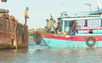 Quảng Bình: Nhiều tàu cá mắc cạn trên sông Gianh sau bão số 10