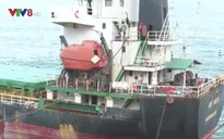 Đẩy nhanh tiến độ hút dầu trên các tàu hàng bị chìm ở Quy Nhơn