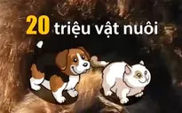 Dịch vụ cầu phúc cho vật nuôi ở Nhật Bản