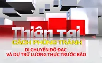 Cần làm gì khi bão đến?