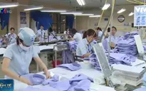 Việt Nam cần làm gì trong một TPP vắng bóng Mỹ?