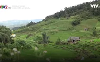 Không chỉ có Ô Quy Hồ, Lai Châu còn biết bao thắng cảnh say đắm lòng người