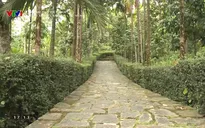 Dấu xưa ở làng cổ Lộc Yên: Những nếp nhà cổ trầm mặc, những ngõ đá đẹp mê hồn