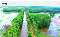Bay bổng phương Nam: Khám phá cảnh sắc phương Nam tuyệt đẹp bằng góc máy flycam