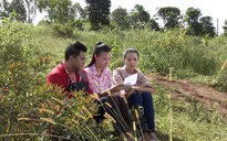 Phim Thảm đỏ - Tập 8: Nguyệt Hằng (Hoàng Oanh) tự vấn lòng mình về tình yêu dành cho Hoàng Dũng (Lương Thế Thành)