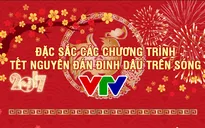 [INFOGRAPHIC] Đặc sắc các chương trình Tết Nguyên đán Đinh Dậu trên sóng VTV