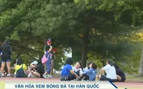 FIFA U20 thế giới 2017 và văn hóa cổ vũ bóng đá của CĐV Hàn Quốc