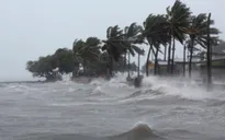 Siêu bão Irma tàn phá nghiêm trọng các đảo ở Caribe