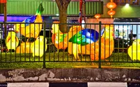 Lễ hội đèn lồng đón tết Đinh Dậu tại Singapore