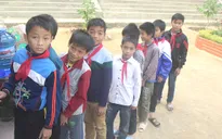 Bộ Y tế yêu cầu làm rõ vụ 20 học sinh bị viêm cầu thận ở Nghệ An
