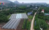 Du học sinh trở về từ Israel khởi nghiệp nông nghiệp