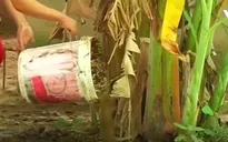 Sáng chế thùng ủ ga sinh học chống lũ lụt