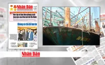 Tàu vỏ thép “nằm bờ”: Cơ sở đóng tàu phải lấy cái tâm, cái trí để phục vụ!