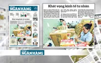 Triển vọng của kinh tế tư nhân sau Hội nghị Trung ương 5