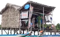 Bắt quả tang nhóm trộm sò huyết giống chuyên nghiệp