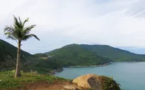Kiến nghị xem xét lại Quy hoạch Khu du lịch quốc gia Sơn Trà