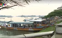 Nhiều thuyền rồng tự đón trả khách tại bến tự phát sông Hương