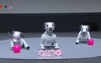Sony tái sinh robot cún cưng Aibo để đón chào năm Mậu Tuất 2018