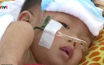 Ca mắc sốt xuất huyết tại TP.HCM tăng đột biến