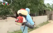 Bùng phát dịch sốt xuất huyết tại nhiều tỉnh miền Trung