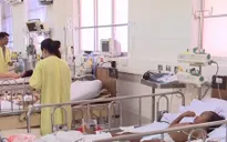 Thêm 50 giường điều trị dành cho bệnh nhi mắc sốt xuất huyết