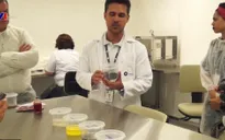 Brazil: Chế tạo thiết bị cảm biến sinh học chẩn đoán sốt xuất huyết nhanh