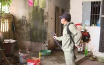 Thủ tướng yêu cầu tăng cường phòng chống sốt xuất huyết