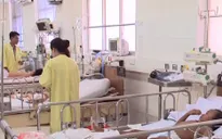 TP.HCM điều chỉnh biện pháp phòng dịch sốt xuất huyết