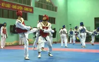 ĐT Taekwondo Việt Nam thích nghi với luật thi đấu taekwondo mới