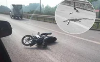 Khởi tố nam thanh niên tông chết thiếu tá CSGT trên cao tốc