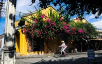 Nhịp sống êm đềm ở phố cổ Hội An