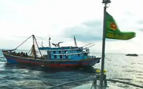Quảng Trị đẩy mạnh ngăn chặn nạn khai thác thủy hải sản "tận diệt"
