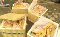 Đắk Lắk phát hiện nhiều xe khách chở thịt không rõ nguồn gốc