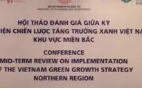 Việt Nam đã đạt một số thành tựu về tăng trưởng xanh