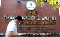 Tập đoàn Công nghiệp Cao su Việt Nam (VRG) chưa tìm được nhà đầu tư chiến lược