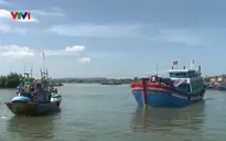 Ngư dân Quảng Ngãi được mùa hải sản đầu năm