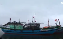 TT-Huế: Tàu vỏ thép khó tìm nơi neo đậu an toàn