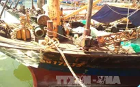 Tiếp tục yêu cầu Bộ Công an điều tra vụ tàu vỏ thép hư hỏng