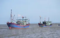Cam kết không đánh bắt hải sản bất hợp pháp