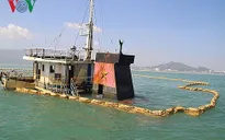 Bình Định đề nghị hỗ trợ trục vớt tàu hàng bị chìm trên biển Quy Nhơn