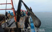 Tăng cường kiểm soát hoạt động của tàu cá khai thác hải sản