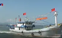 Quảng Nam phát triển đánh bắt xa bờ