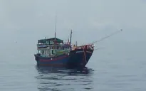 Tàu cá của Phú Yên bị Indonesia bắt giữ