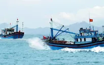 Tước giấy phép vĩnh viễn tàu cá vi phạm vùng biển nước ngoài